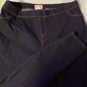 Jeggings by Bobbie Brooks 2X